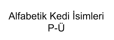 Alfabetik Kedi Isimleri P U Kedi Forum Kedi Isimleri