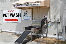See more ideas about pet washing station, dog washing station, dog wash. Self Service Pet Wash Yulee Fl