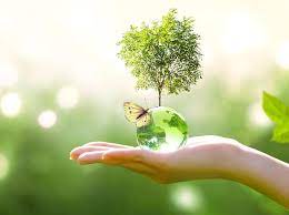 From rewilding urban landscapes to planting more trees, there are immeasurable big and little things every one of us can decide to do. Cuqperl7npypfm
