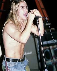 Pin On Red Hot Chilli Peppers