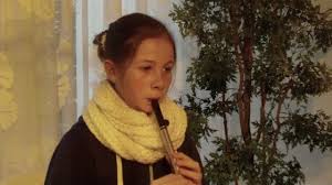 Titanic My Heart Will Go On Penny Tin Whistle Notes In Discreption