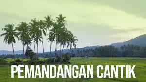 Di lahan, gulma berebut unsur ara, air, ruang tumbuh dan sinar matahari dengan tanaman padi. Rupanya Ada Sawah Padi Cantik Di Terengganu Kampung Maras Terengganu Youtube