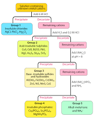 systematic analysis of cations chemistry practicals class 12