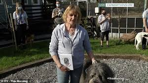 Maybe you would like to learn more about one of these? Dog Rescue Centre Reveals Coping With Animals Abandoned During Lockdown Has Been Nightmare Daily Mail Online