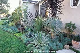 Here's the quick and simple plan i drew up for our front yard. Holt 869 02 Tif Photobotanic Stock Photography Garden Library Front Yard Garden Succulent Landscape Design Backyard Garden Landscape