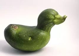 You can cut off a few small rotten spots or blemishes, that's for sure, but if the decay is taking over, let the veggie go. What S The Best Way To Cut Zucchini Quora