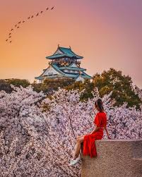 Instagrammable Spots In Japan 7 Gorgeous Spots For Cherry Blossoms In Japan Japan Travel Cherry Blossom Japan Japan Travel Guide
