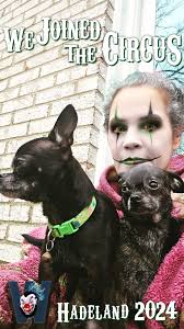 Westmoreland County, PA Lost and Found Pets