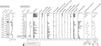Image result for Hyparrhenia mobukensis
