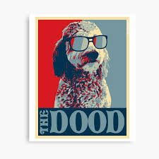 15% off with code wednesdaynow. Goldendoodle Canvas Prints Redbubble