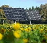 Submergée par la production chinoise, l'industrie européenne des panneaux  solaires appelle à l'aide