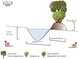 Swale Section Permaculture Design Course Permaculture Design Permaculture
