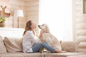No, esas don't require registration. Getting An Emotional Support Animal In Canada Certapet