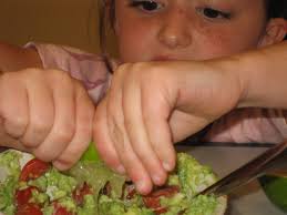 Seed 2 Plate Curriculum