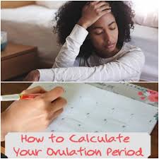 It is the phase of a female's menstrual cycle when an egg (ovule) is released from the. How To Calculate Ovulation Period Using Menstrual Cycle Fabwoman
