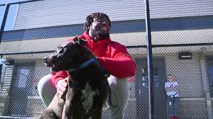 Kc pet project offers dog and cat adoptions to veterans in kansas city through its partnership with pets for patriots, and will them find their new pet friends. Ziwi Pet Food Company Pays Dog Adoption Fees At Kansas City Shelter