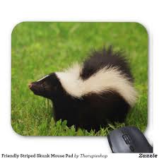 Friendly Striped Skunk Mouse Pad Mouse Pad Striped Skunk Skunk
