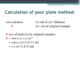 Feb 21, 2018 · cfu/ml= (number of bacterial colonies counted on plate x dilution factor) / volume of culture plate cfu/ml= (150 x 105) / 0.1 = 1.50 x 108. Bacterial Count Ppt Video Online Download
