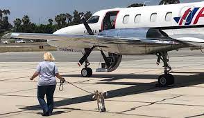 We are a small group of friends who all volunteer their personal time and work hard to make an impact on the life of a dog in need. Puppyspot Turns To Private Aviation For Puppy Transport Business Aviation News Aviation International News