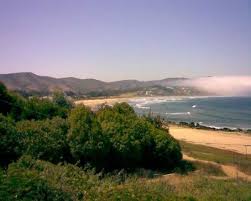 8,206 likes · 8 talking about this · 6,305 were here. Cachagua Zapallar 2021 All You Need To Know Before You Go With Photos Tripadvisor