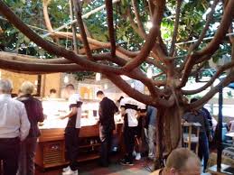 1 2 3 4 5. Ein Gummibaum Und Das Buffet Im Treibhaus Jetzt Bambus Garten Picture Of Bambus Garten Dusseldorf Tripadvisor