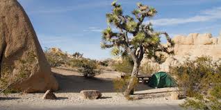 Homestead national historical park, a unit of the national park system known as the homestead national monument of america prior to 2021, commemorates passage of the homestead act of 1862, which allowed any qualified person to claim up to 160 acres. Camping In Joshua Tree Visit California