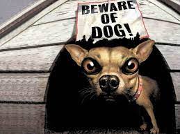 Funny Beware Of Dog Signs 31 Desktop Background On Funnypicture Org Funny Animal Images Dog Signs Funny Animals