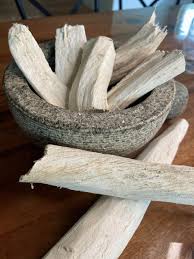 Image result for Synaptolepis