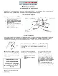 Signs, symptoms, treatments and how to check your testicles. The Testicular Self Exam 30 Seconds That Can Save Your Life