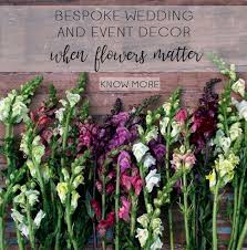 Mumbai being the territory of diversity, each day is an occasion here worth celebrating together with flowers. House Of Flowers Florist And Flower Delivery In Mumbai Home Page