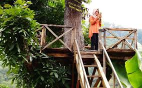 Seiring itulah, ketiga terowongan kereta api lama sejak akhir 2020 sudah tidak difungsikan lagi. 29 Tempat Wisata Di Madiun Jawa Timur Paling Hits Yang Wajib Dikunjungi