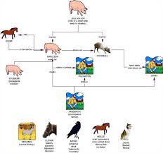 Animal Farm Character Analysis Google Search Animal Farm George Orwell Animal Farm Book Animal Farm Summary