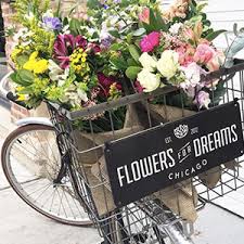 Flowers by welkes house of roses and flowers: Flowers For Dreams Chicago Public Library Foundation September Partners Chicago Public Library Foundation