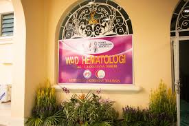 Johor'daki en büyük hastane ve eyaletin ana sevk ve üçüncü basamak sağlık merkezidir. Launch Of The Caring Home At Hospital Sultanah Aminah The Iskandarian