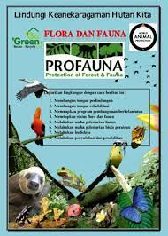 Ada beberapa jenis hewan yang dilindungi. Poster Flora Dan Fauna Indonesia Geografi5d