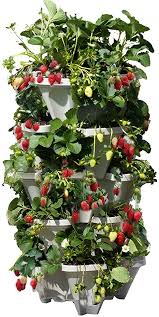 And the concept of vertical gardens came into. Mr Stacky 5 Tiered Vertical Gardening Planter Indoor Outdoor Amazon De Garten