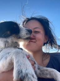 Any private landlords? Looking for preferably 3bed house with fenced in  yard. Can possibly do 2bed depending