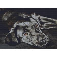 Chart, cross stitch, cross stitch patterns, crossstitch, crossstitcher, dmc color, embroidery, needlework, patterns, pdf, pdf no half stitches or back stitching. Black Labrador Dog Puppy Counted Cross Stitch Kit On Onbuy
