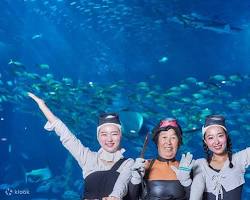 濟州Aqua Planet海洋世界的圖片