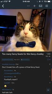 Break me off a piece of. 21 Best U Beautifuldays Images On Pholder Cats Unexpectedoffice And Dogs
