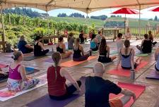 Vines & Vinyasa: Summer Terrace Yoga