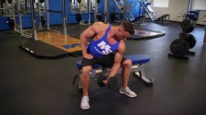 Preacher curl is a good exercise for isolating the biceps and making them work independently. Top Preacher Curl Alternatives To Isolate Your Biceps