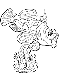 In minecraft there are over 2,700 tropical fish that are obtainable! Printable Mandarin Fish Coloring Page For Kids