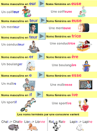 Bien Sur Feminin Des Nom Et Des Adjectifs Le Feminin Des Adjectifs Vocabulaire Francais Langue Etrangere