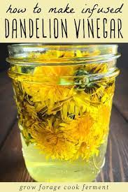 Infused Dandelion Vinegar Recipe Dandelion Recipes Dandelion Beer Recipe Dandelion