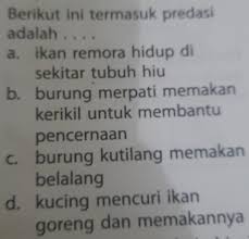 Di manakah tempat hidup cacing yang akan di makan oleh burung? Berikut Ini Termasuk Predasi Adalah A Ikan Remora Hidup Di Sekitar Tubuh Hiu B Burung Merpati Makan Brainly Co Id