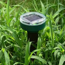 Image result for Schéma plašiče krtků