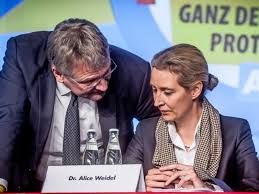 Spenden Fur Meuthen Und Weidel Das Ist Der Mysteriose Afd Spender