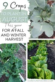 Enter your location above to get your spring and fall planting dates!. 9 Crops You Can Plant In August For Fall And Winter Harvest Our Stoney Acres