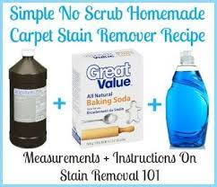 Homemade Carpet Stain Remover Recipe Simple No Scrub Stain Remover Carpet Homemade Carpet Stain Remover Carpet Cleaning Hacks